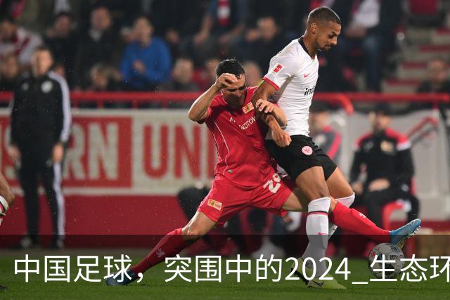 中国足球，突围中的2024 生态环境将实现好转