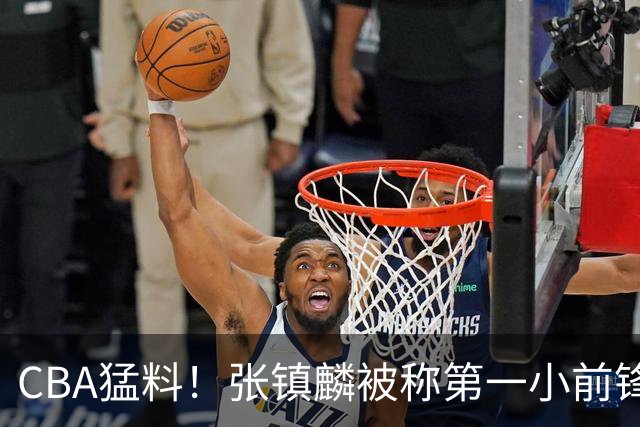 CBA猛料！张镇麟被称第一小前锋，麦基比赛态度变好，拉塞尔伤病出炉